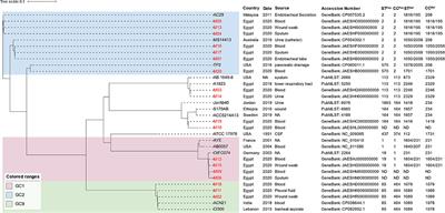 Genetic Configuration of Genomic Resistance Islands in Acinetobacter baumannii Clinical Isolates From Egypt